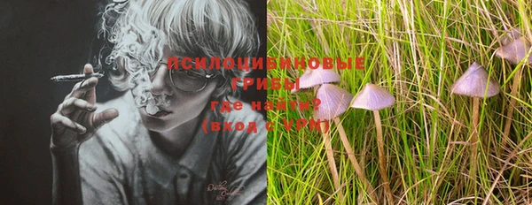 мяу мяу мука Краснотурьинск